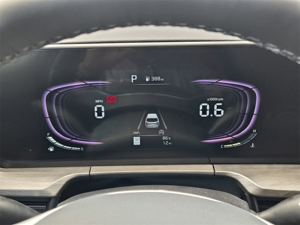 2025 Kia Telluride EX X-Pro - 10