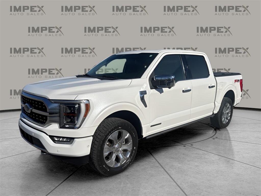 2021 Ford F-150 Platinum's photo