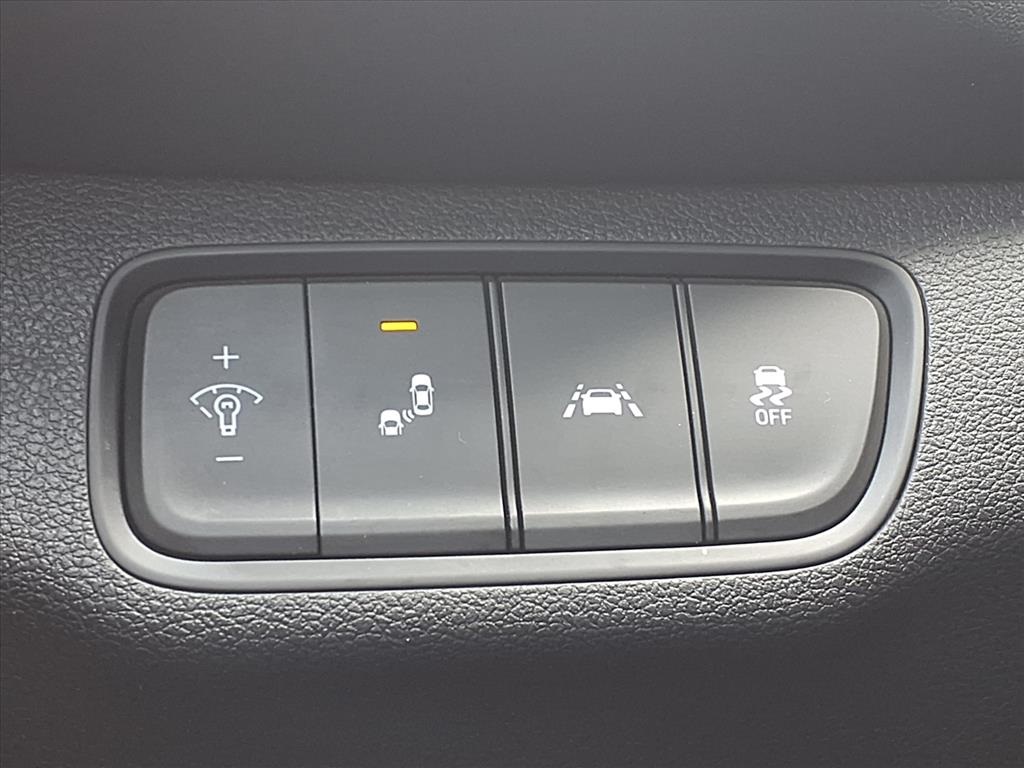 2020 Hyundai Santa Fe SEL Orange at Westside Lexus