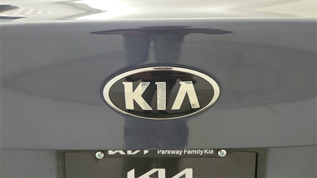 2015 Kia Optima EX Blue at Emmons Autoplex