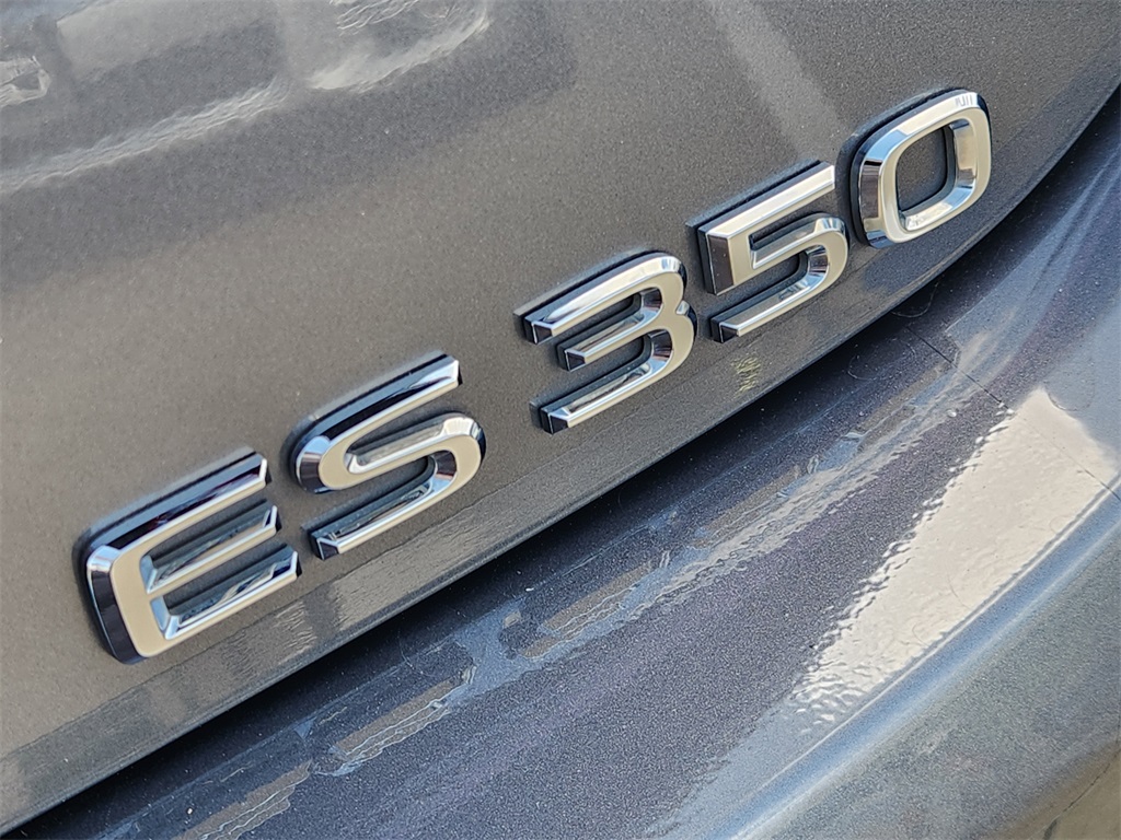 2020 Lexus ES 350 Gray at Emmons Autoplex