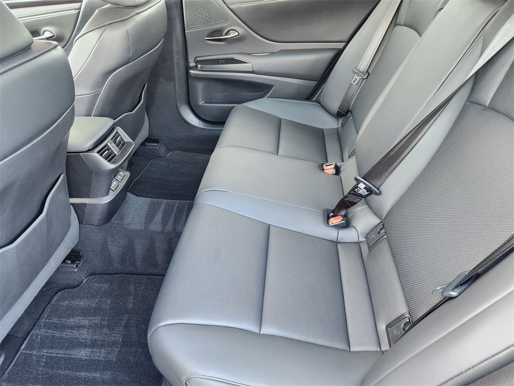 2020 Lexus ES 350 Gray at Emmons Autoplex