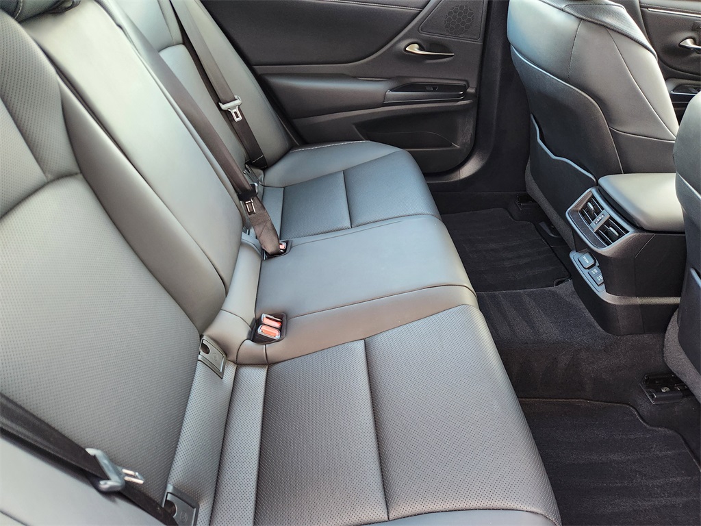 2020 Lexus ES 350 Gray at Emmons Autoplex