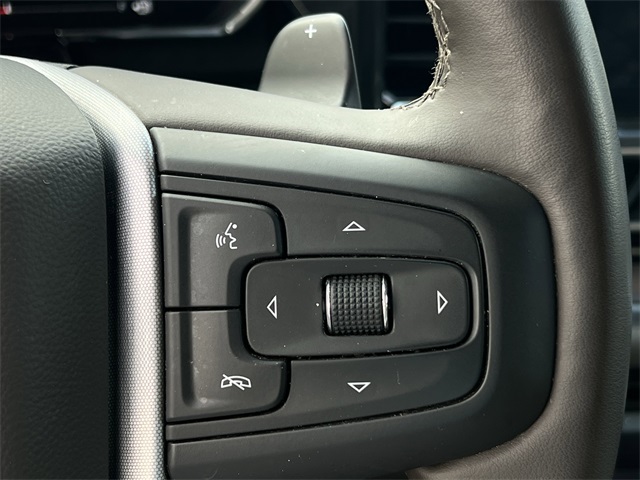 2025 GMC Sierra 1500 SLT - 11