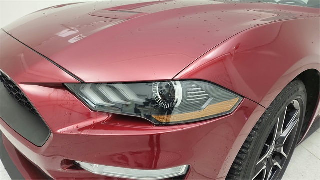 2019 Ford Mustang EcoBoost Premium Red at North Houston Mitsubishi