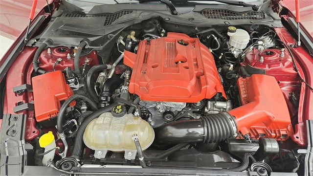 2019 Ford Mustang EcoBoost Premium Red at North Houston Mitsubishi