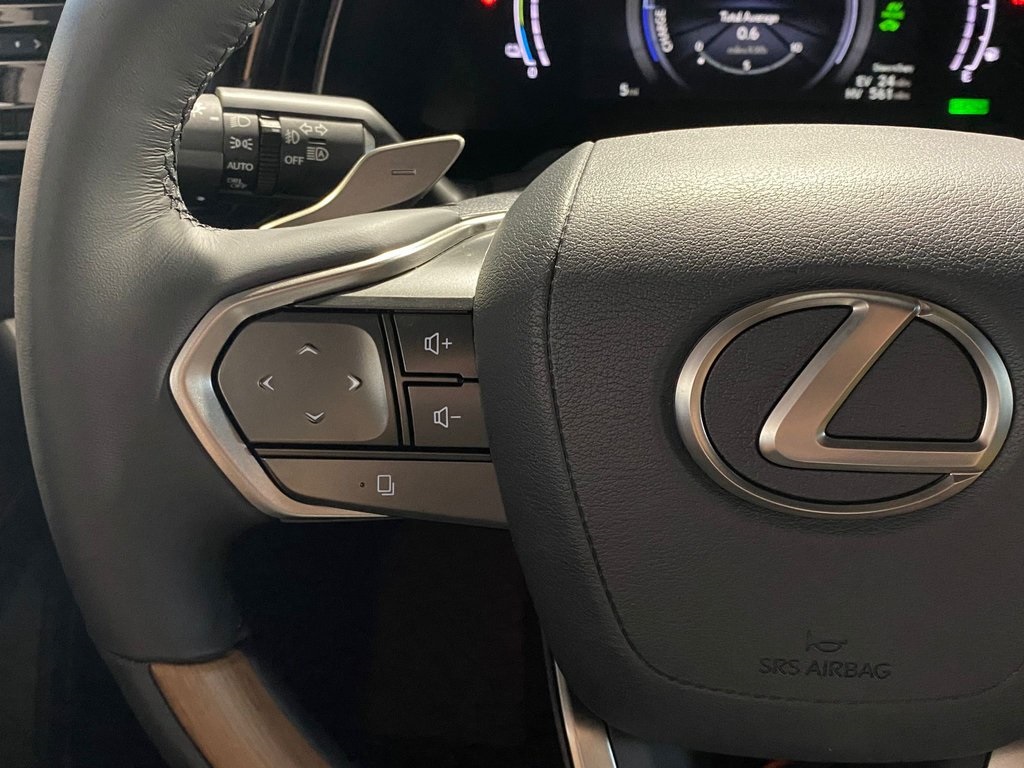 Thumbnail: 2025 Lexus RX - 16