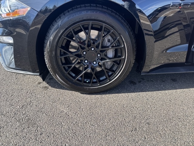 2018 Ford Mustang GT Premium photo 4