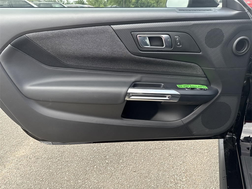 2025 Ford Mustang EcoBoost - 10