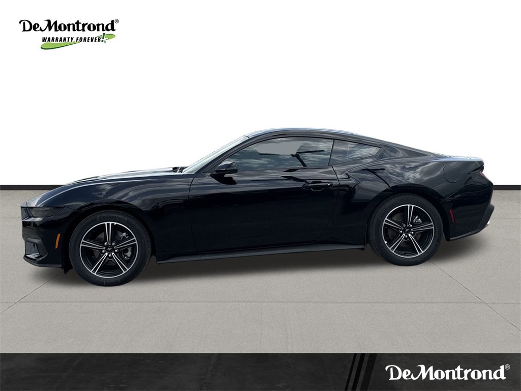 2025 Ford Mustang EcoBoost - 7