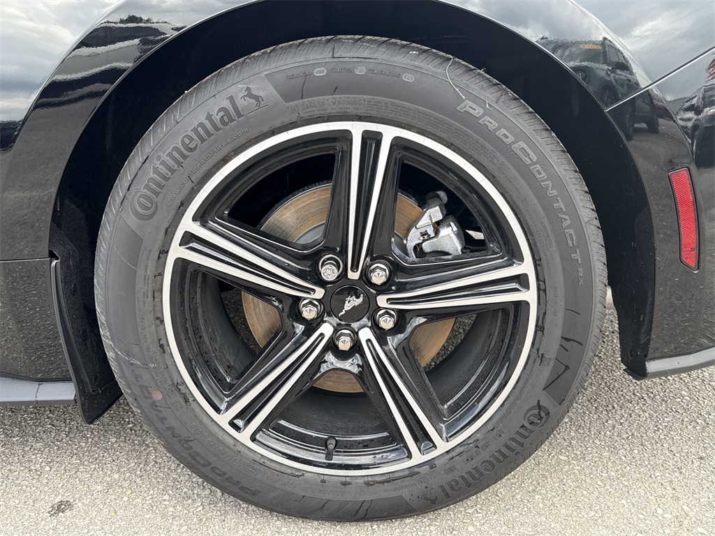 2025 Ford Mustang EcoBoost - 8