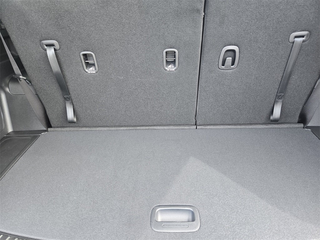 2025 Kia Telluride SX-Prestige Green at Shottenkirk Kia Fort Bend