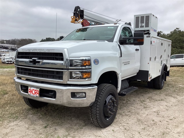 New Car 2024 Chevrolet Silverado 1500  Work Truck For Sale Under $70,000 In San Antonio, Texas