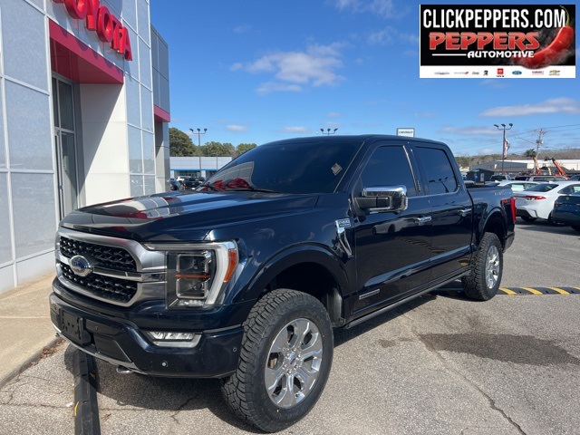 2021 Ford F-150 Platinum SuperCrew 4WD