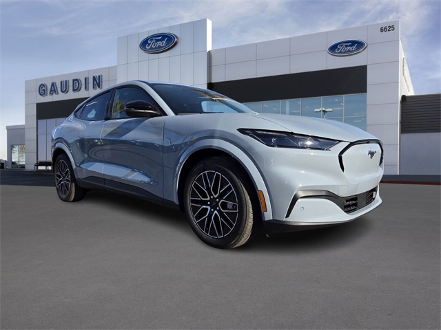  Ford Mustang Mach-E
