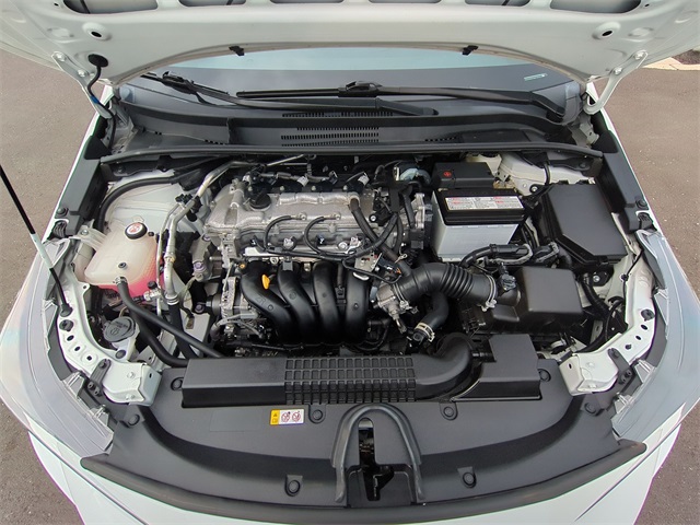 2021 Toyota Corolla LE for sale at PATRIOT CHEVROLET OF LIMERICK