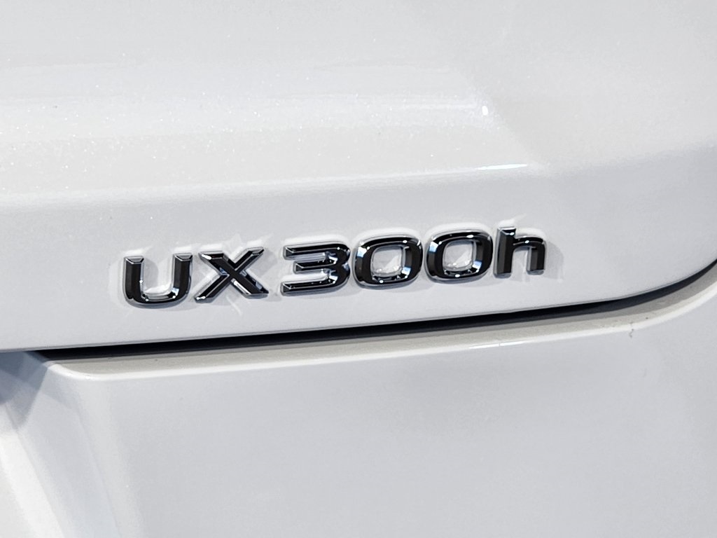 Thumbnail: 2025 Lexus UX - 11