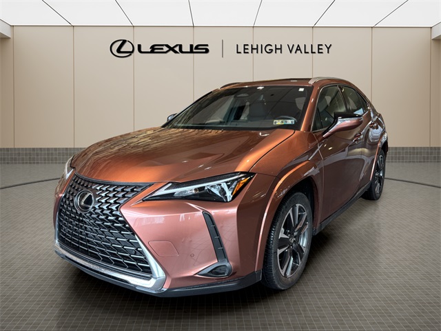 2025 Lexus UX Hybrid 300h AWD