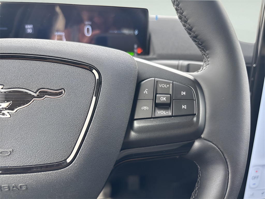 2025 Ford Mustang Mach-E