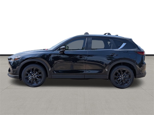 2025 Mazda CX-5 2.5 S Carbon Edition - 7