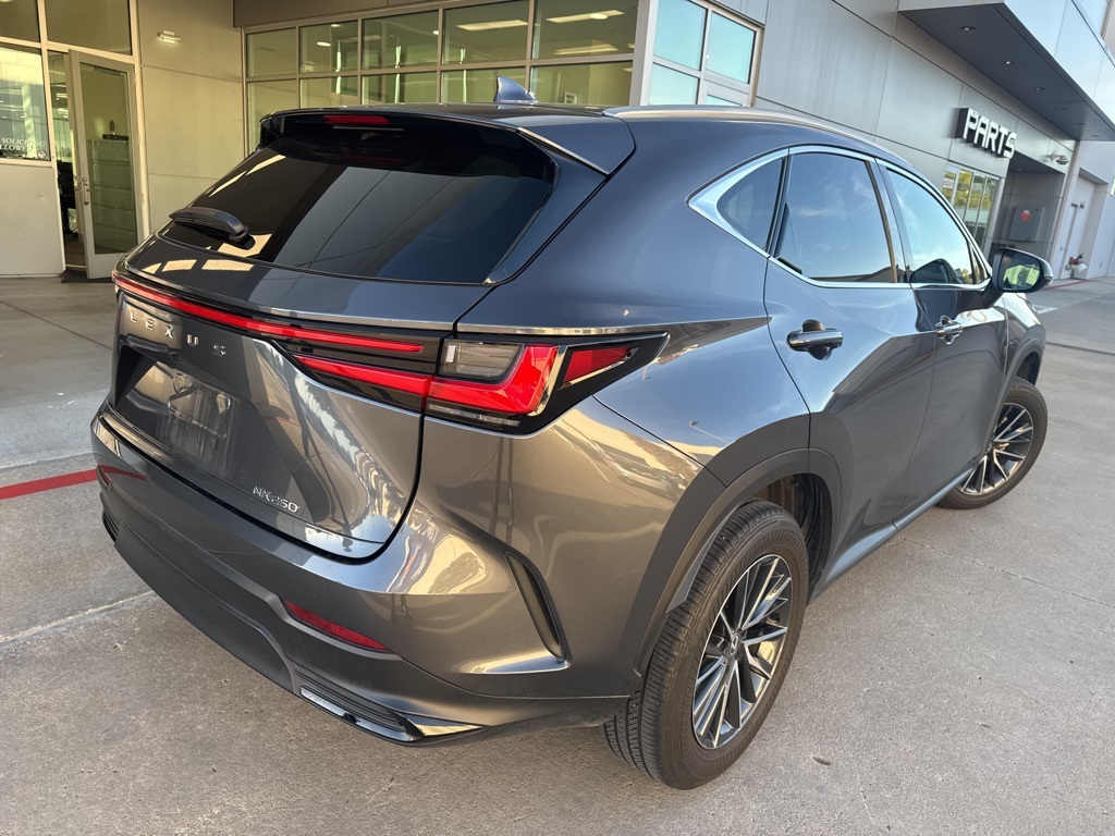 2024 Lexus NX 250 Base Gray at Westside Lexus