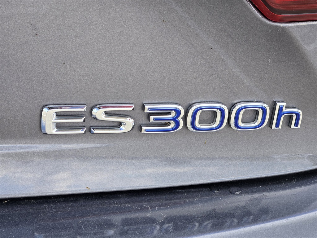 2015 Lexus ES 300h Gray at Emmons Autoplex