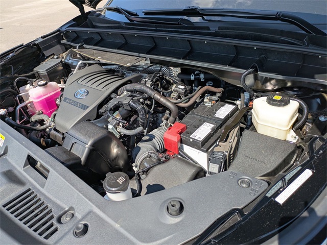 2024 Toyota Highlander XLE Black at Davis Toyota of Orangeburg