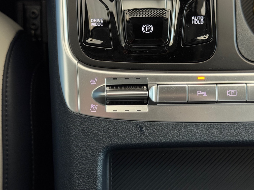 2026 Kia Carnival SX - 6