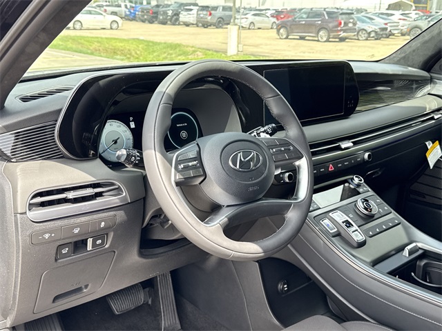 2025 Hyundai Palisade Calligraphy Night Edition - 10