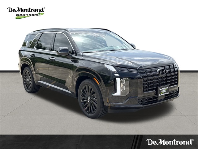 2025 Hyundai Palisade Calligraphy Night Edition - 2