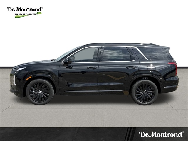 2025 Hyundai Palisade Calligraphy Night Edition - 7