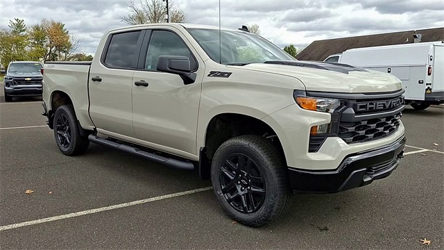 2026 Chevrolet Silverado 1500 Custom Trail Boss for sale at PATRIOT CHEVROLET OF WARMINSTER