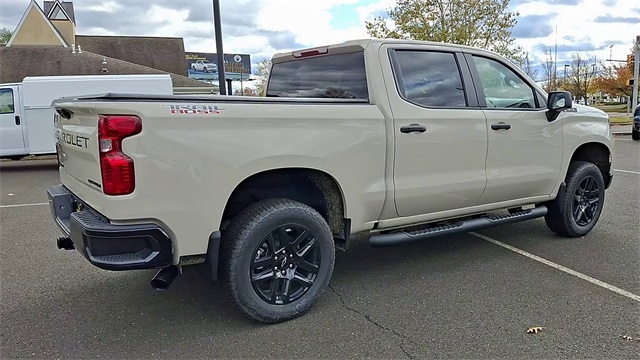 2026 Chevrolet Silverado 1500 Custom Trail Boss for sale at PATRIOT CHEVROLET OF WARMINSTER