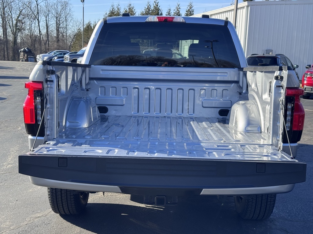 FordF-150 Lightning41