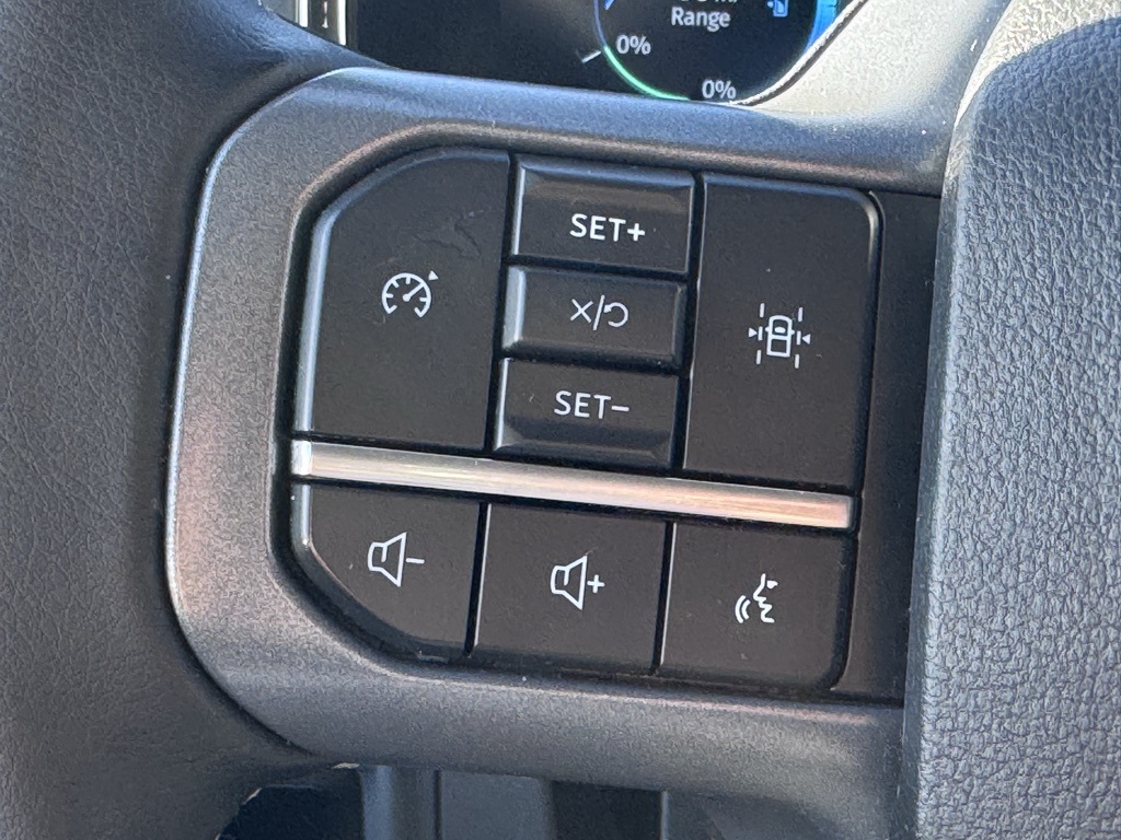 FordF-150 Lightning8