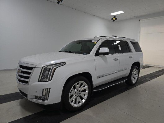 2016 Cadillac Escalade Luxury's photo