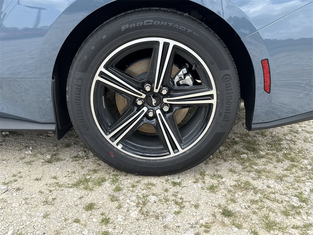 2025 Ford Mustang EcoBoost Blue at Legacy Ford