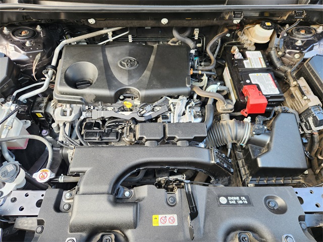 2019 Toyota RAV4 LE  at Don McGill Toyota