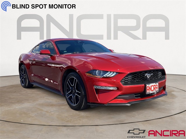 Used Car 2022 Ford Mustang  Ecoboost For Sale Under $25,000 In San Antonio, Texas