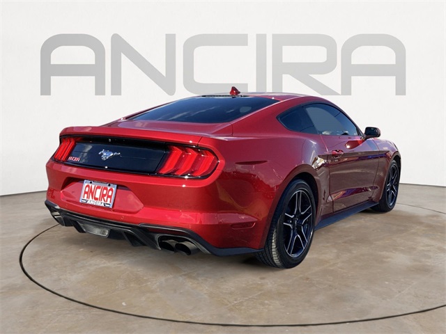 Used Car 2022 Ford Mustang  Ecoboost For Sale Under $25,000 In San Antonio, Texas