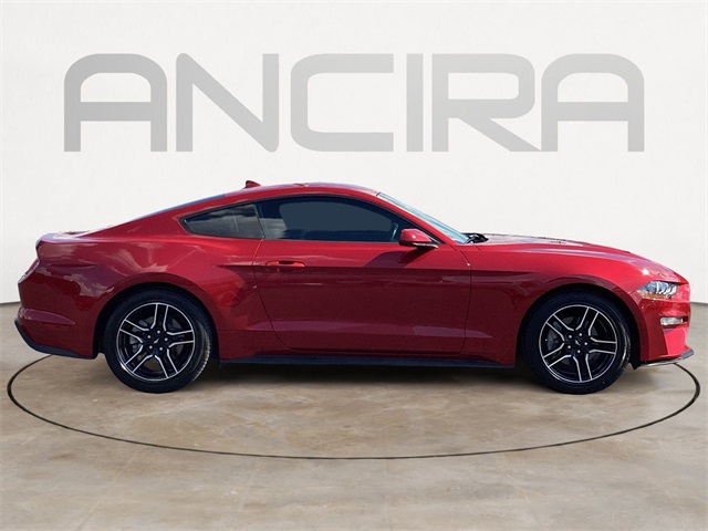 Used Car 2022 Ford Mustang  Ecoboost For Sale Under $25,000 In San Antonio, Texas