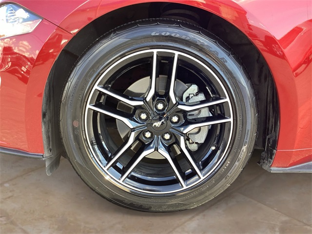 Used Car 2022 Ford Mustang  Ecoboost For Sale Under $25,000 In San Antonio, Texas