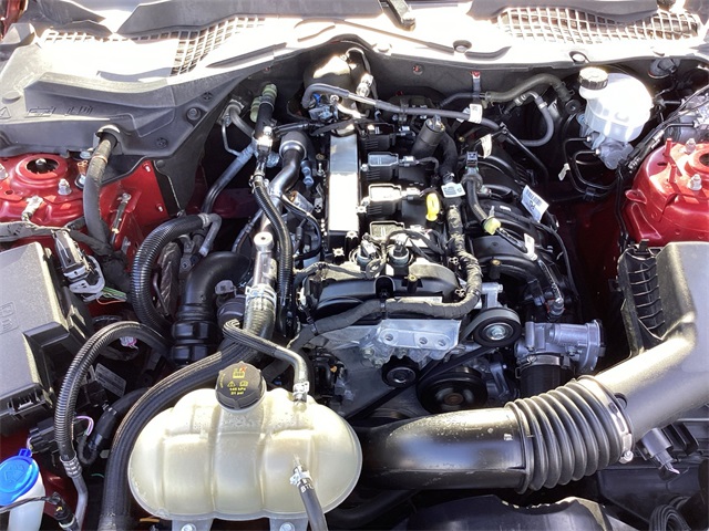 Used Car 2022 Ford Mustang  Ecoboost For Sale Under $25,000 In San Antonio, Texas