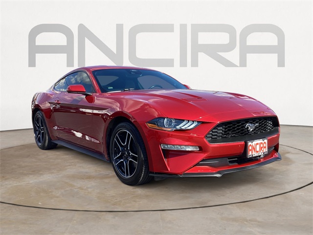 Used Car 2022 Ford Mustang  Ecoboost For Sale Under $25,000 In San Antonio, Texas