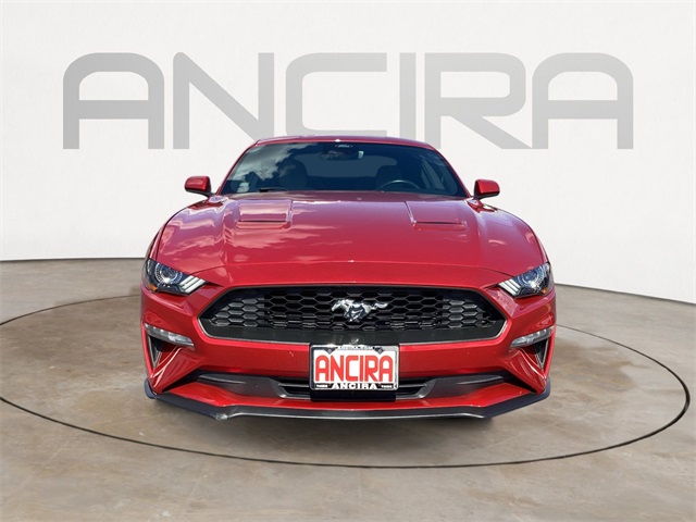 Used Car 2022 Ford Mustang  Ecoboost For Sale Under $25,000 In San Antonio, Texas