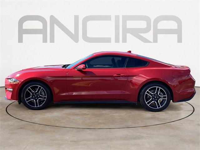 Used Car 2022 Ford Mustang  Ecoboost For Sale Under $25,000 In San Antonio, Texas