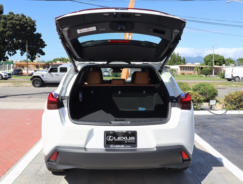 Thumbnail: 2025 Lexus UX - 17