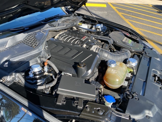 Used Car 2021 Ford Mustang  Gt Premium For Sale Under $50,000 In San Antonio, Texas