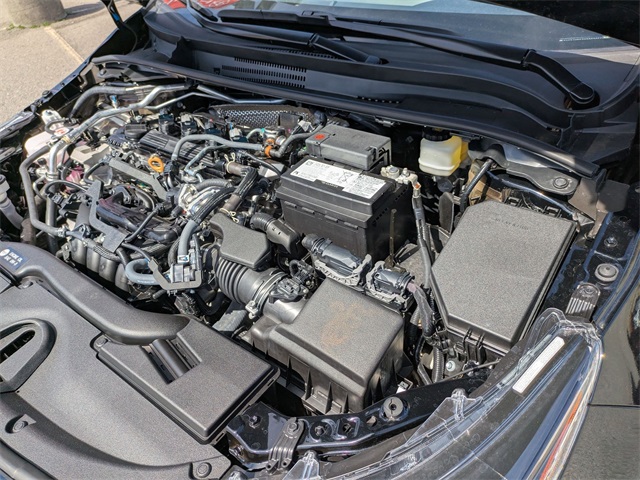 2025 Toyota Corolla LE Black at Stokes Volkswagen