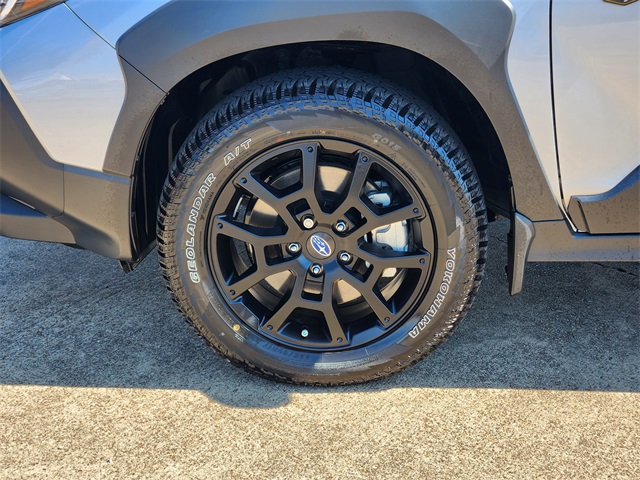 2025 Subaru Crosstrek Wilderness - 9